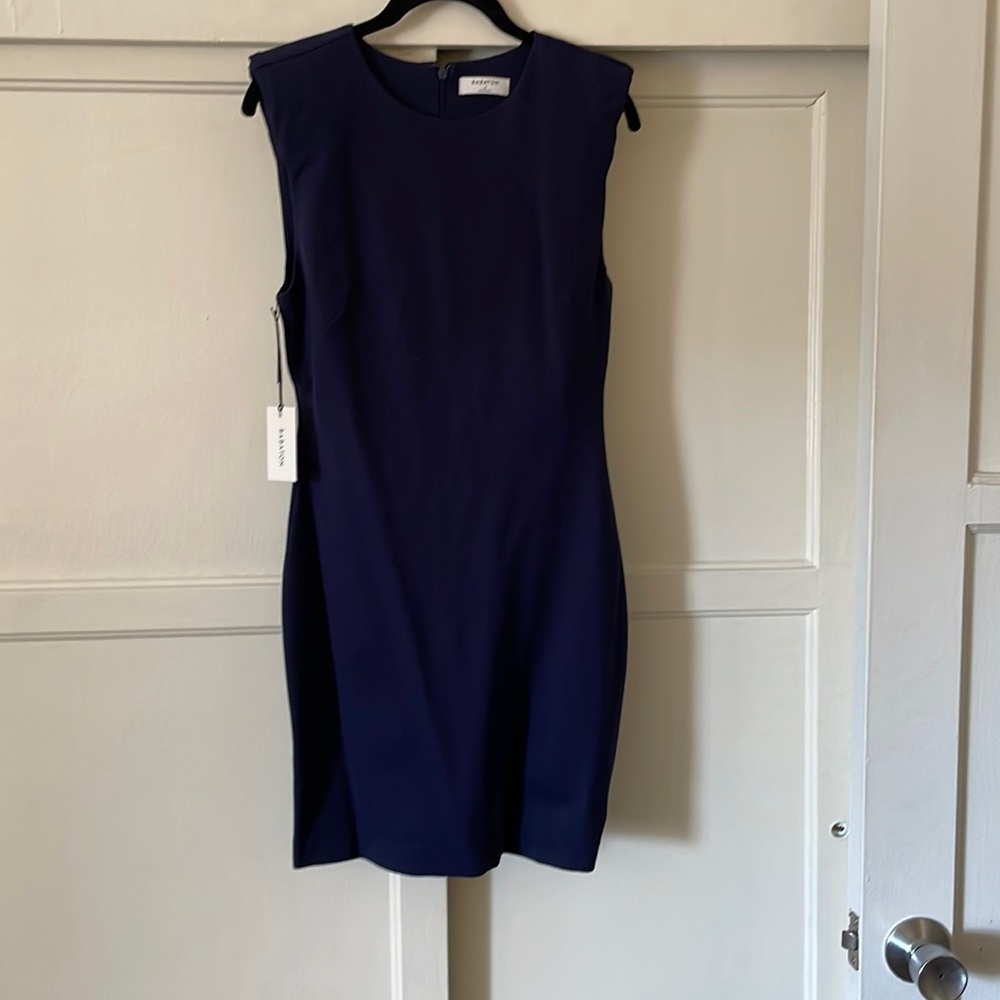 Aritzia dress